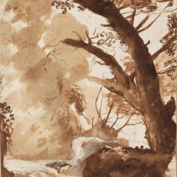 Tree and Rocks by the Water